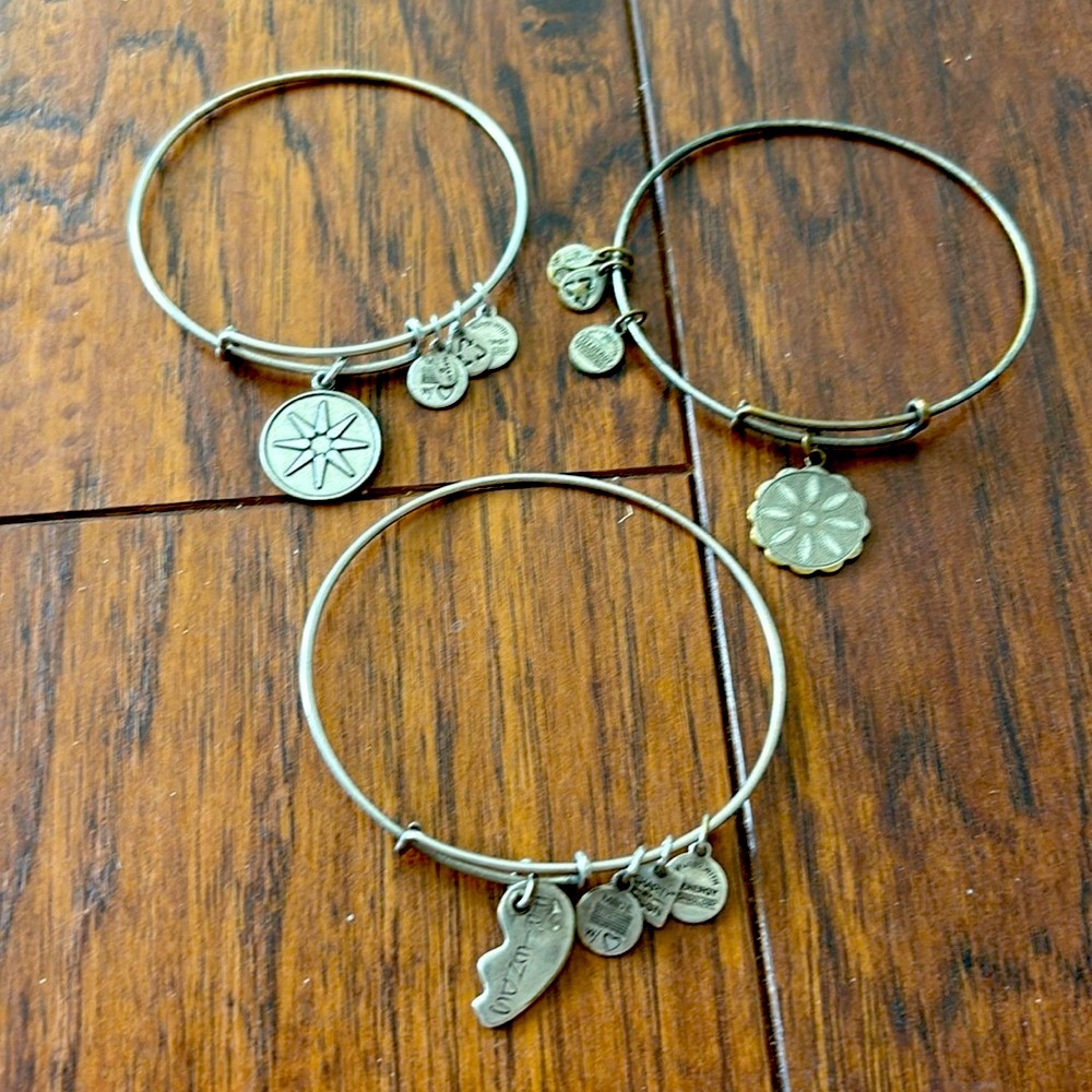 Lot of 3 Alex and Ani Bracelets